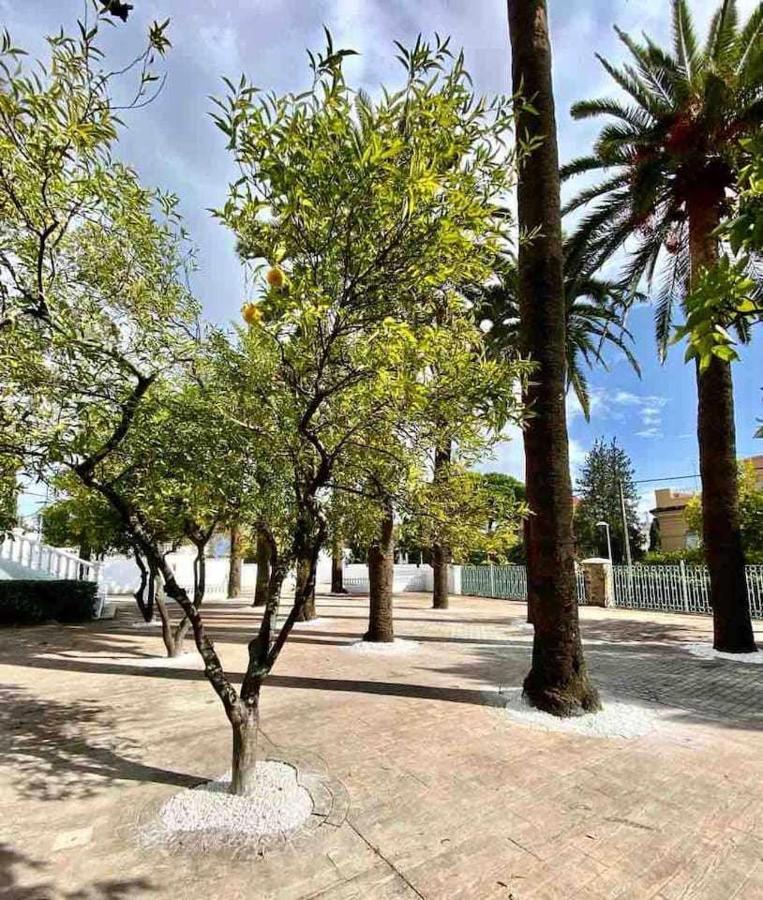 コルドバNuevo Los Almendros 204 Complejo Turisticoアパートメント エクステリア 写真