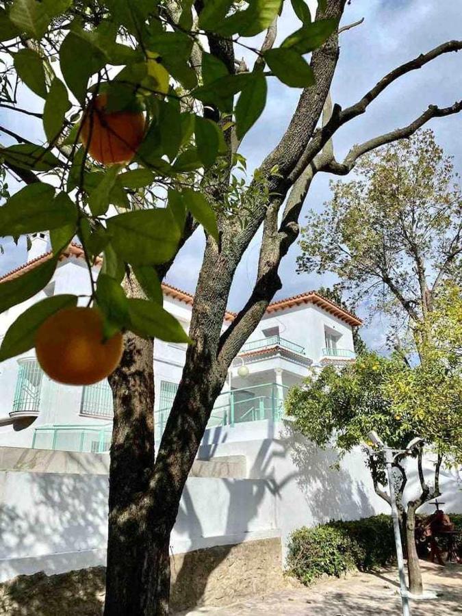 コルドバNuevo Los Almendros 204 Complejo Turisticoアパートメント エクステリア 写真